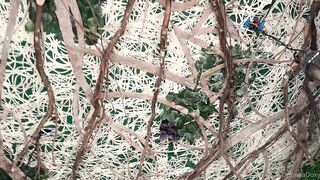 Domina Doxy's Hot Threesome