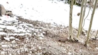 Angel Dania Vega Blows Dick In The Woods