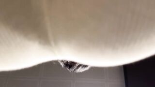 Elle Lee - Post-Workout Hotel Sex