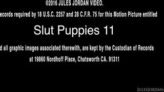 AlexGreyXXX Gets Her Holes Fucked By A BWC