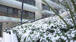 Black Widow Octokuro Pleasures A Girthy Cock